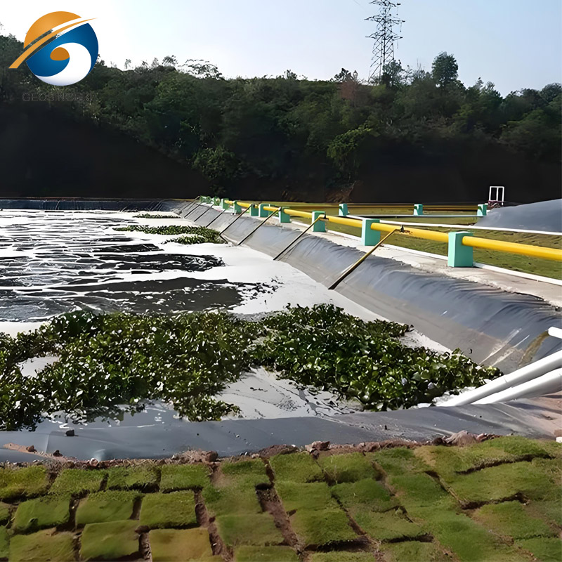 LLDPE LINGER GEOMEMBRANA