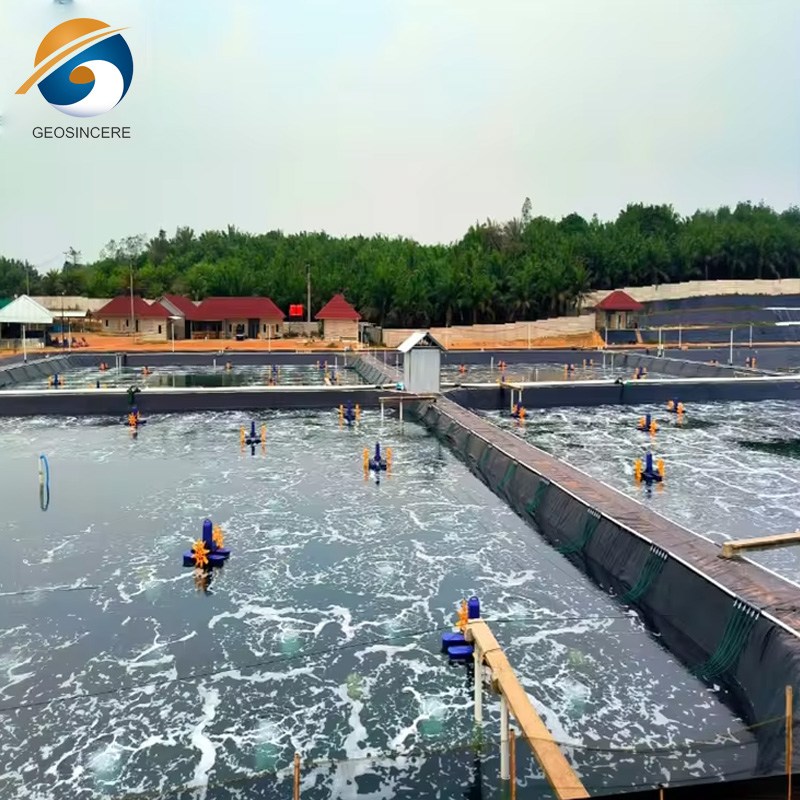 แผ่นกันซึม HDPE แบบเรียบ 0.75 มม. สำหรับบ่อเลี้ยงกุ้ง