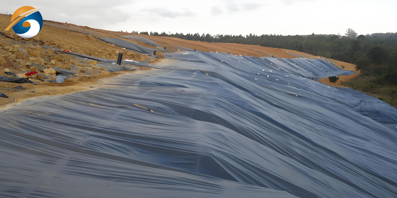 埋め立て地の地球膜 埋め立て地の地球膜