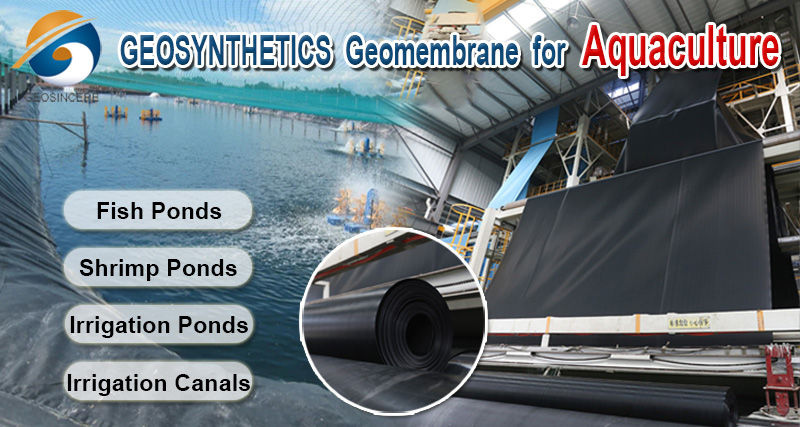 แผ่นกันซึม HDPE แบบเรียบ 0.75 มม. สำหรับบ่อเลี้ยงกุ้ง แผ่นกันซึม HDPE แบบเรียบ 0.75 มม. สำหรับบ่อเลี้ยงกุ้ง