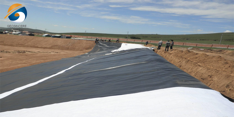 Геомембрана HDPE 1мм Геомембрана HDPE 1мм