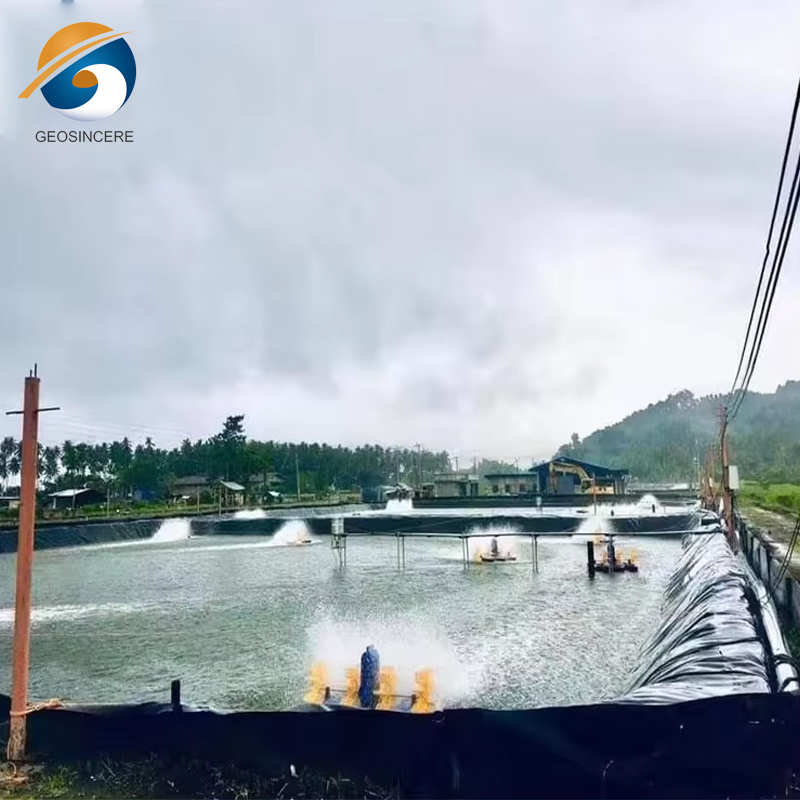 Лист геомембраны LDPE для пруда для аквакультуры и рыбоводства