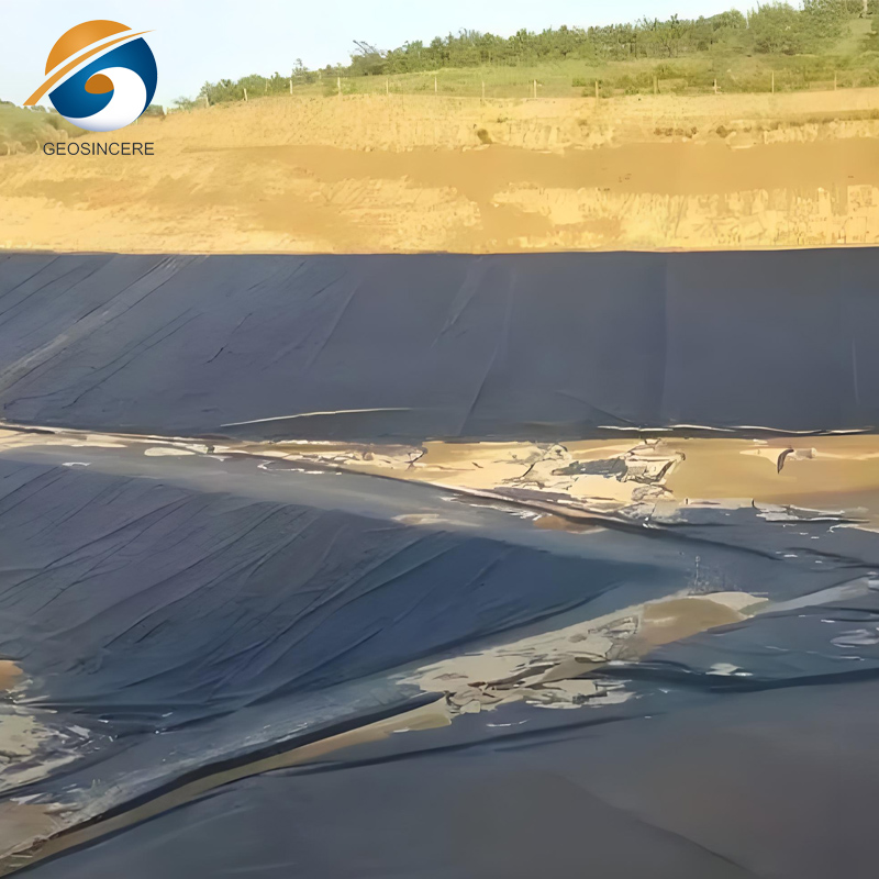 60 мил HDPE Geomembrane