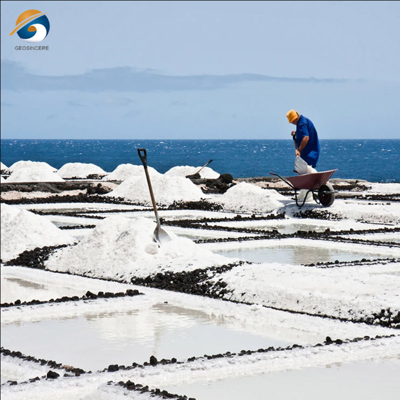 Salzindustrie Salzindustrie