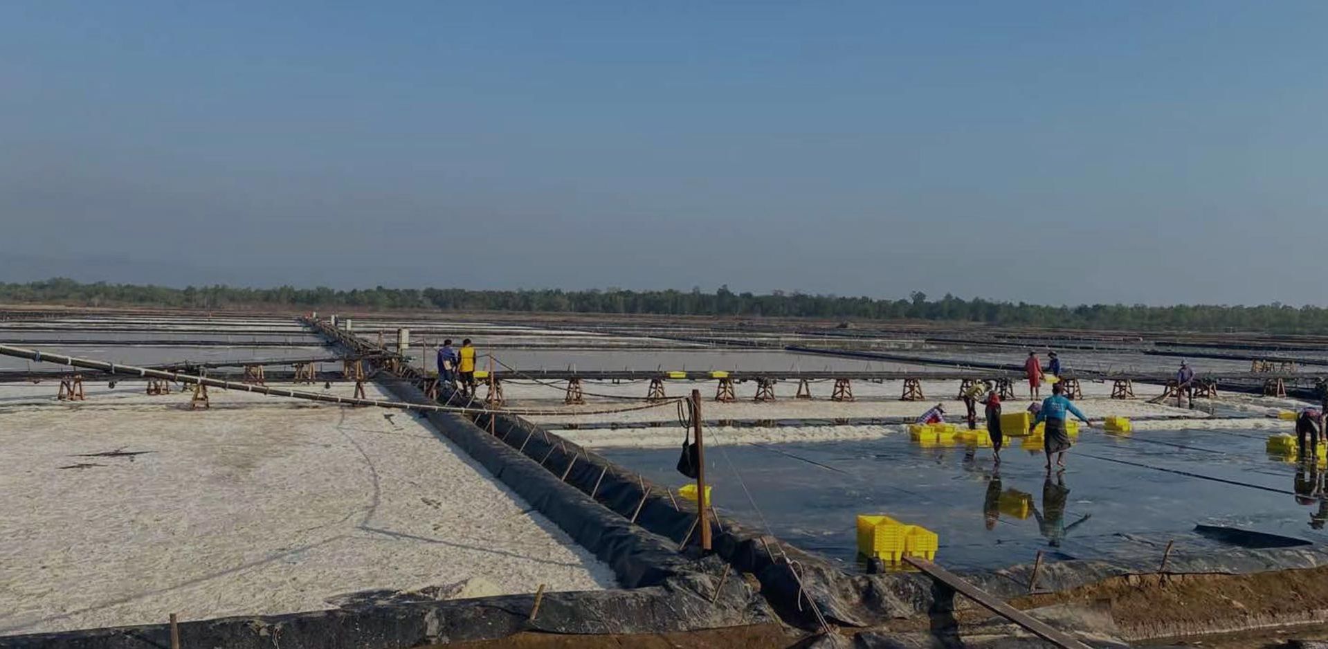 Salt Industry