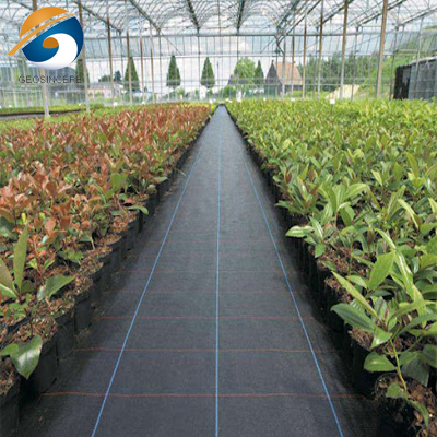 Тканый геотекстиль из полипропилена для дорог