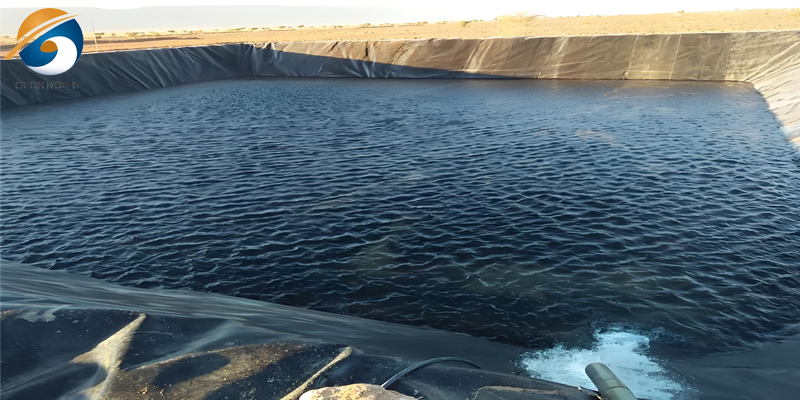 Геомембрана для пруда HDPE 40 мил Геомембрана для пруда HDPE 40 мил