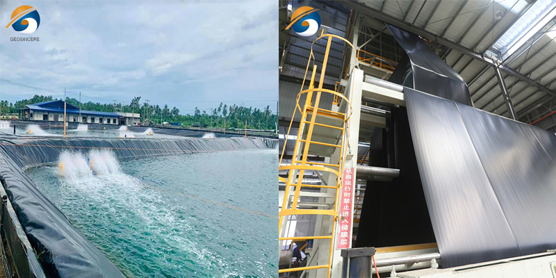 Гладкая геомембрана LDPE для резервуаров для аквакультуры Гладкая геомембрана LDPE для резервуаров для аквакультуры