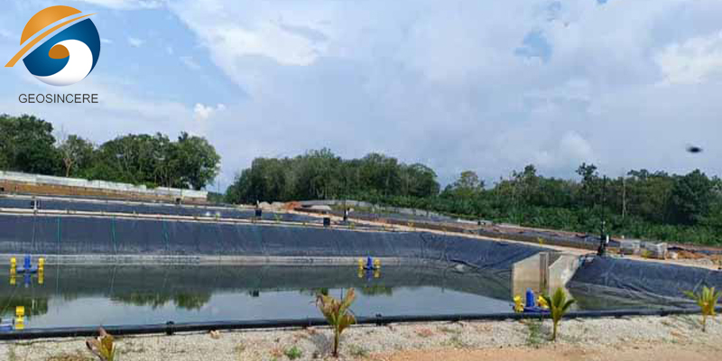 Геомембрана, предотвращающая утечку в прудах для аквакультуры Геомембрана, предотвращающая утечку в прудах для аквакультуры