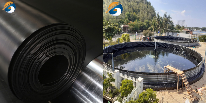 ومن خلال استخدام هذا الغشاء الأرضي عالي الجودة، يتوقع مشروع تربية الأحياء المائية فوائد متعددة. أولاً، يساهم في الحفاظ على الموارد المائية بكفاءة عن طريق تقليل فقدان المياه من خلال التسرب، وبالتالي تقليل الطلب الإجمالي على المياه للعملية. بالإضافة إلى ذلك، تمنع نفاذية الغشاء الأرضي إطلاق المواد الضارة في البيئة، مما يضمن الحفاظ على النظم البيئية المحيطة. اعتماد غشاء أرضي متطور كأفضل خط للبرك ومن خلال استخدام هذا الغشاء الأرضي عالي الجودة، يتوقع مشروع تربية الأحياء المائية فوائد متعددة. أولاً، يساهم في الحفاظ على الموارد المائية بكفاءة عن طريق تقليل فقدان المياه من خلال التسرب، وبالتالي تقليل الطلب الإجمالي على المياه للعملية. بالإضافة إلى ذلك، تمنع نفاذية الغشاء الأرضي إطلاق المواد الضارة في البيئة، مما يضمن الحفاظ على النظم البيئية المحيطة. اعتماد غشاء أرضي متطور كأفضل خط للبرك
