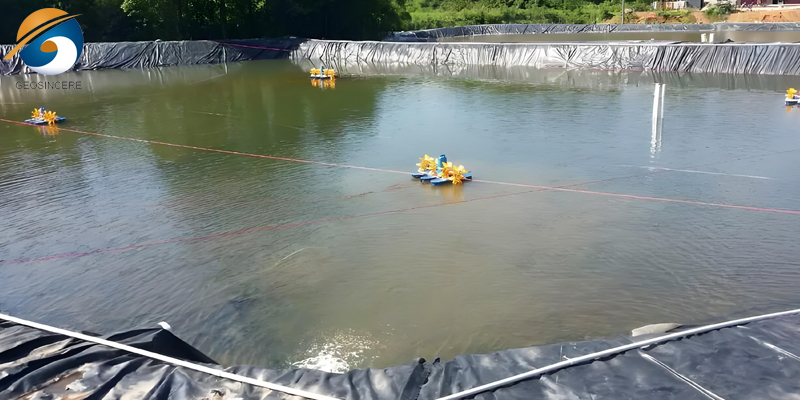 Водонепроницаемая геомембрана для пруда с рыбками из HDPE