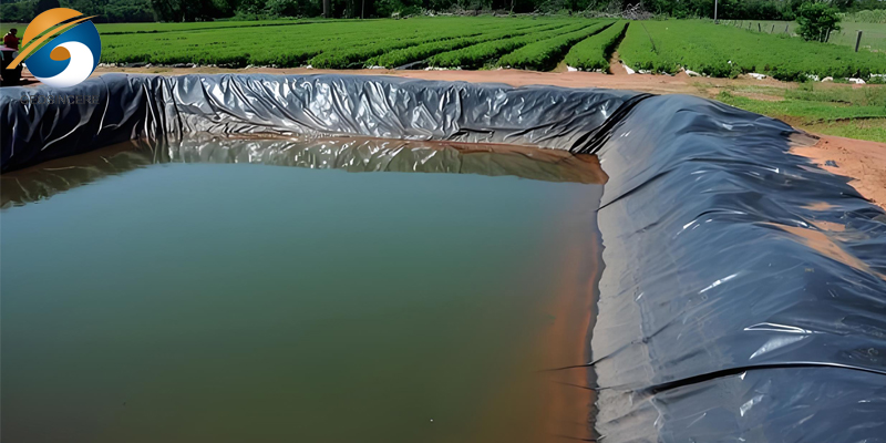 Геомембрана для пруда HDPE 40 мил Геомембрана для пруда HDPE 40 мил