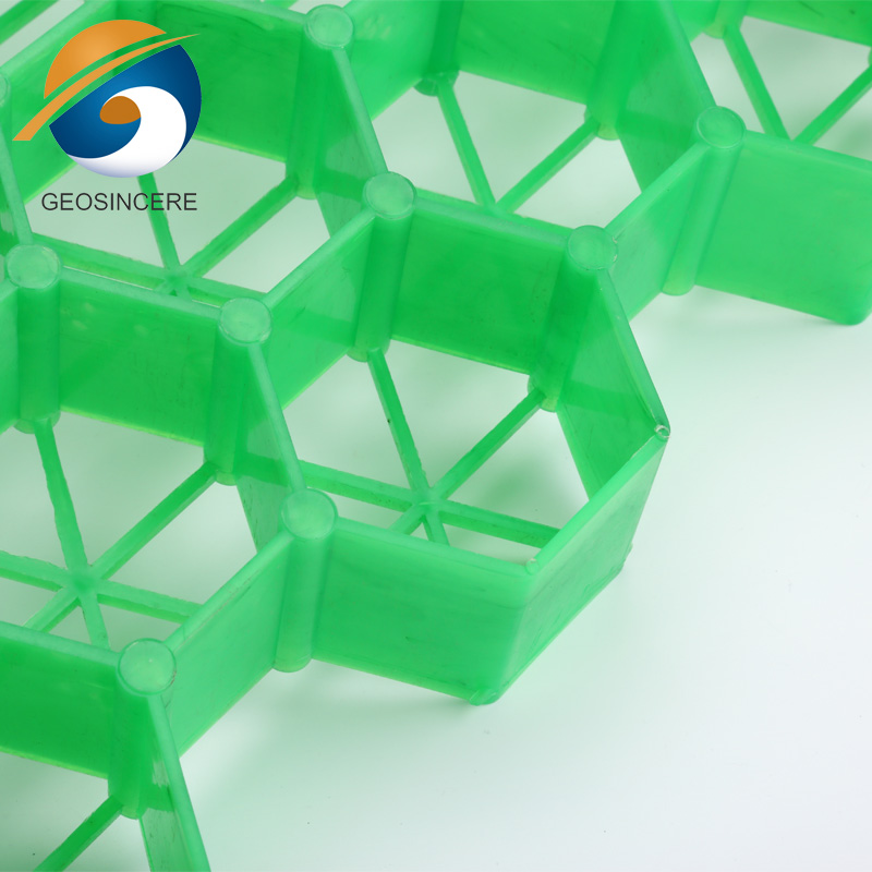 Drivable Grass Paver Driveway With Grass