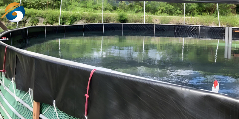 Revestimento de charcas de 0,75 mm de geomembrana de PEAD para aquacultura Revestimento de charcas de 0,75 mm de geomembrana de PEAD para aquacultura