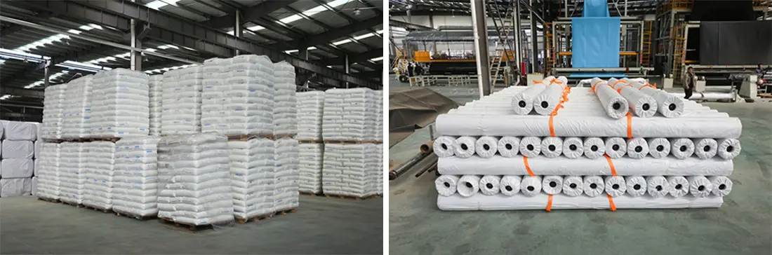 Geosincero Geosincero